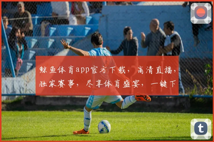鲸鱼体育app官方下载，高清直播，独家赛事，尽享体育盛宴，一键下载，畅享无限