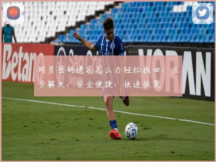 网页密码遗忘怎么办轻松找回，三步解决，安全便捷，快速恢复